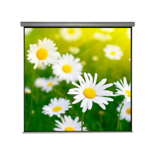 Liberty Juno 6' X 8' (72?X 96?) Inches Motorized Projector Screen